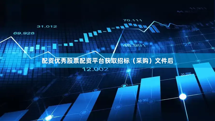 配资优秀股票配资平台获取招标（采购）文件后