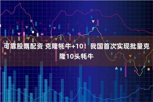 可靠股票配资 克隆牦牛+10！我国首次实现批量克隆10头牦牛